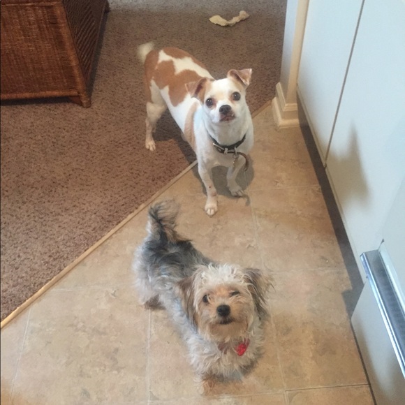 Meet your Posher, Hayley - Picture 3 of 12